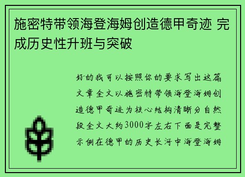 施密特带领海登海姆创造德甲奇迹 完成历史性升班与突破